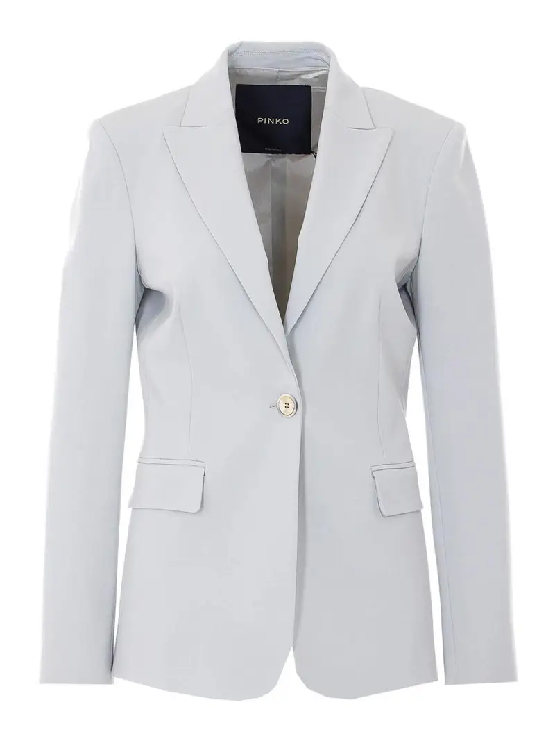 Pinko Blazer Grigio 4230598