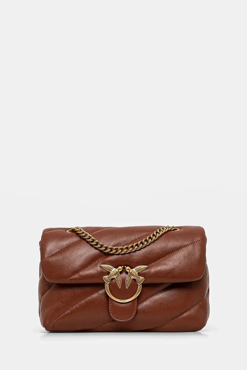 Pinko Borsa a mano Marrone 2224815