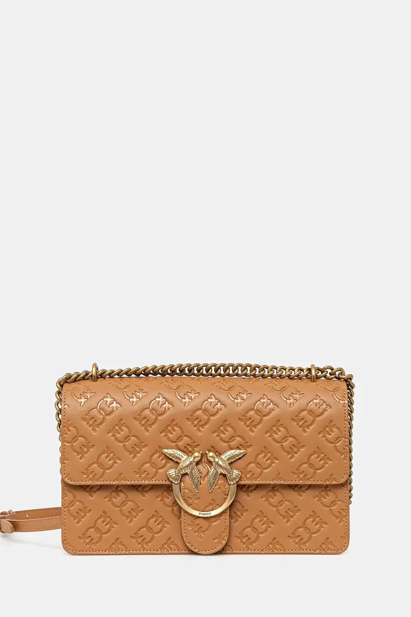 Pinko Borsa a mano Marrone 2224776