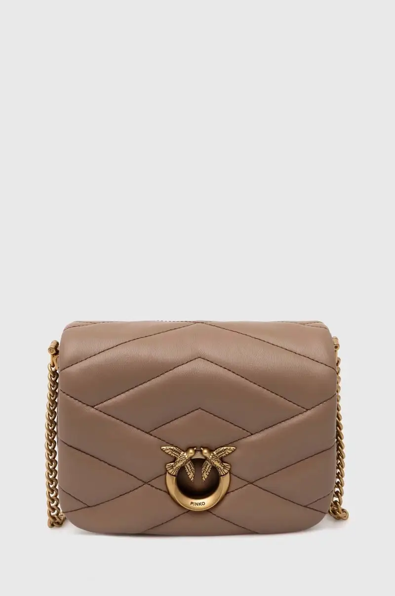 Pinko Borsa a mano Marrone 2224548