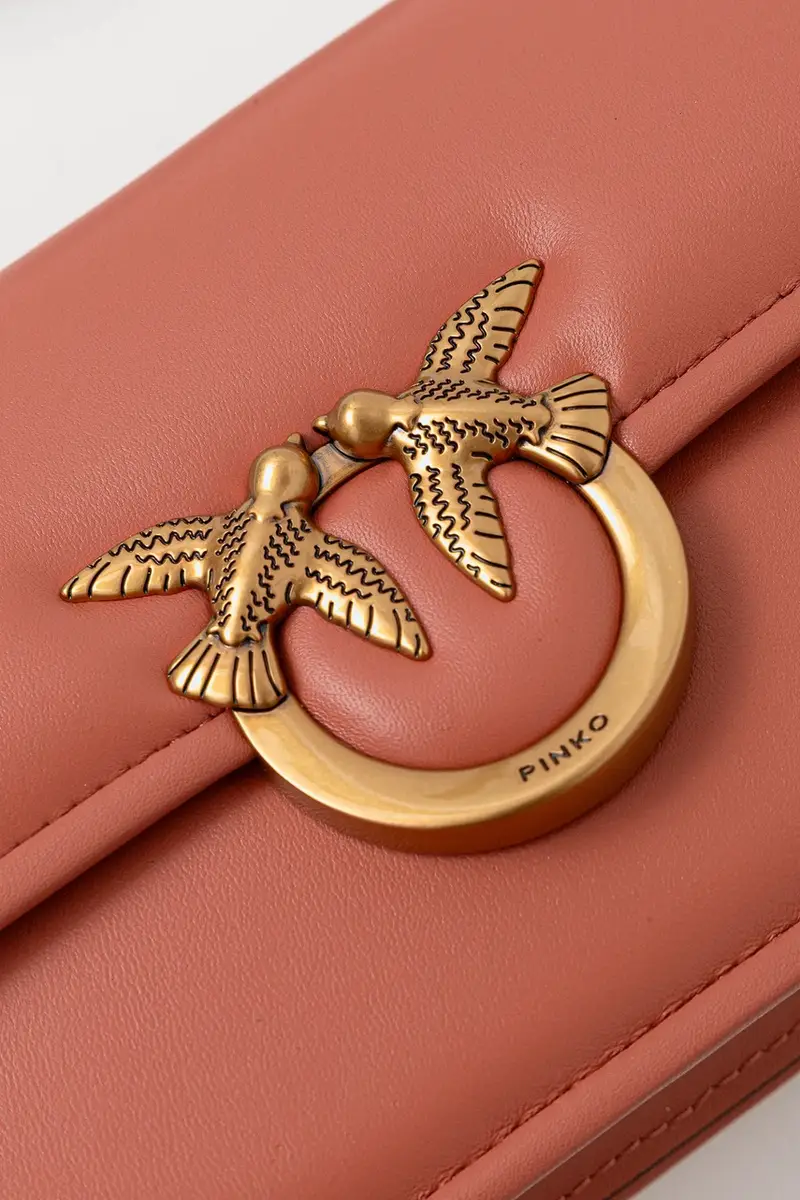 Pinko Borsa a mano Arancione 3889363 miniatura 4