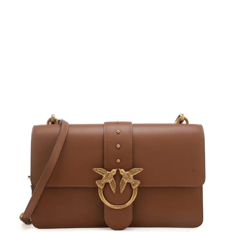 Pinko Borsa a tracolla Donna Marrone 4114502