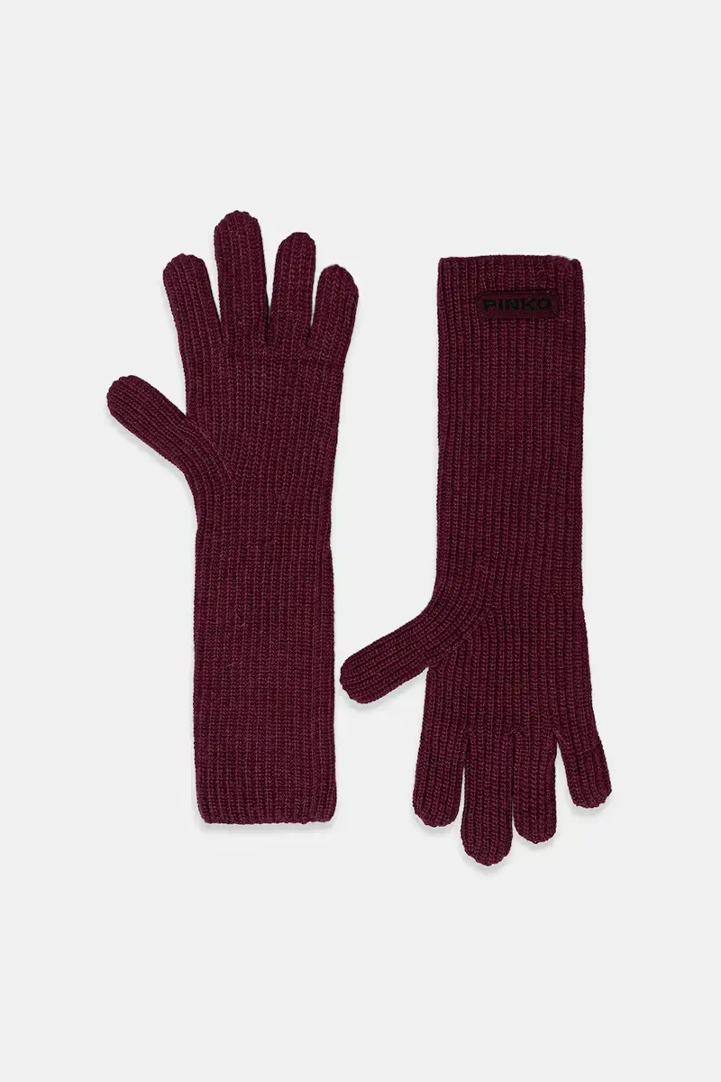 Pinko Guanti Multicolore 3986550