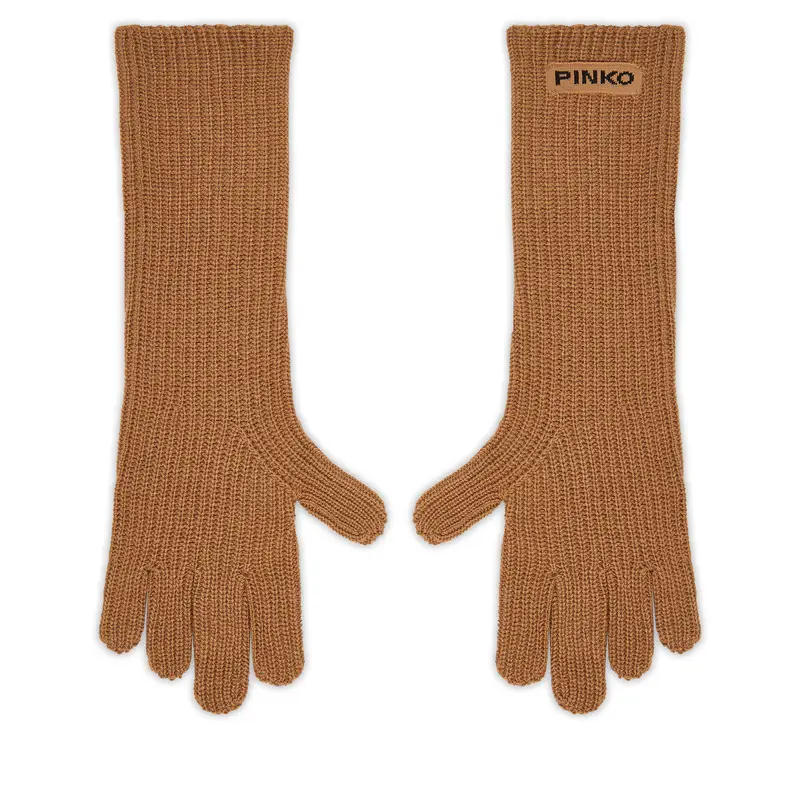 Pinko Guanti Donna Marrone 3115912