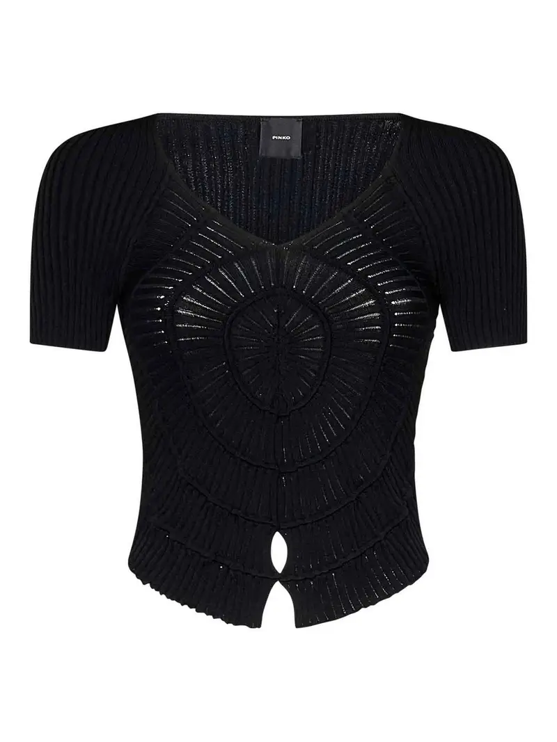 Pinko T-shirt Nero 3343621