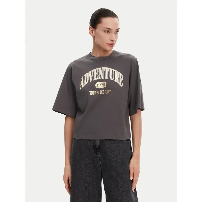 Pinko T-shirt Grigio 3222449