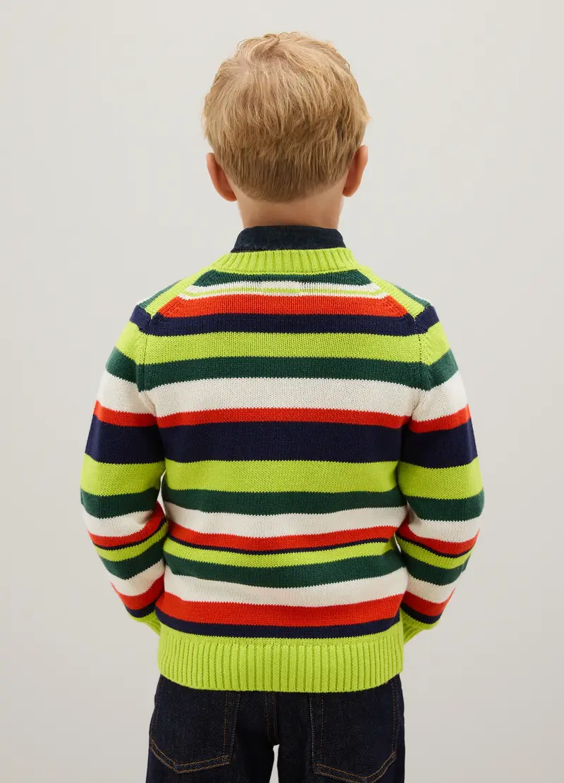 Maglione Da Ragazzo In Puro Cotone Multicolor Regular Fit, Bambino, Multicolor miniatura 2