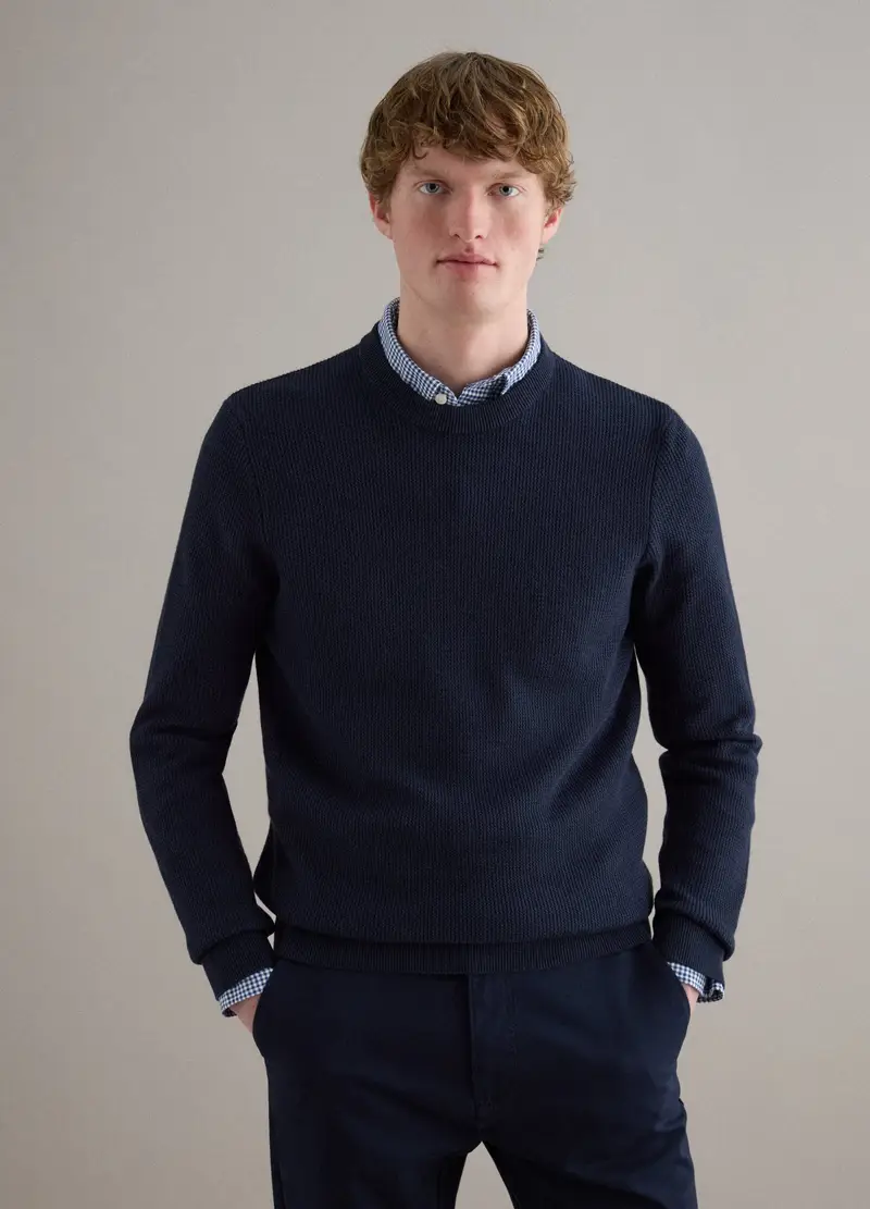 Maglione Girocollo In Puro Cotone Blu Regular Fit, Uomo, Blu miniatura 2