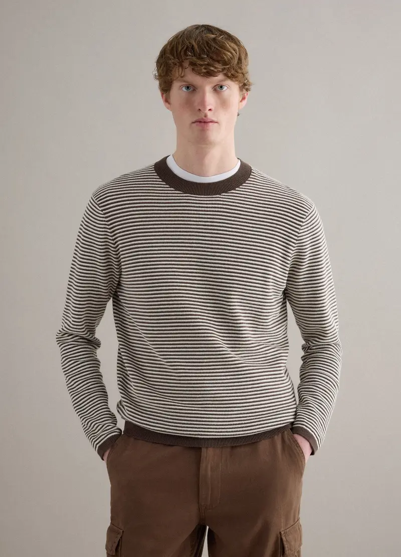 Maglione In Puro Cotone A Righe Multicolor Regular Fit, Uomo, Multicolor miniatura 3