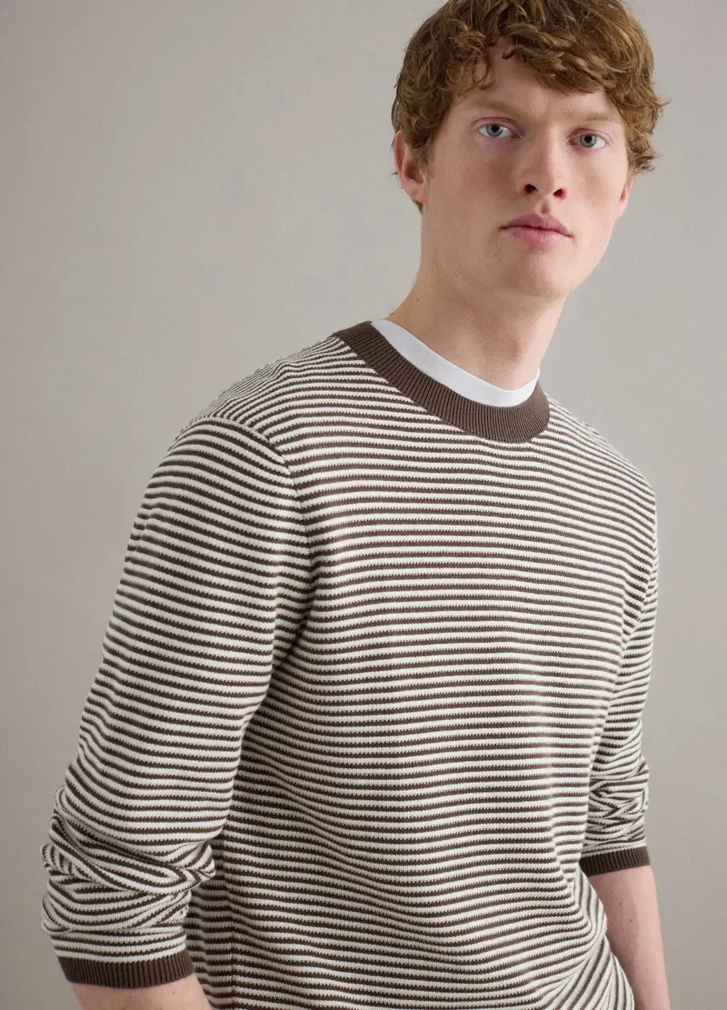 Maglione In Puro Cotone A Righe Multicolor Regular Fit, Uomo, Multicolor