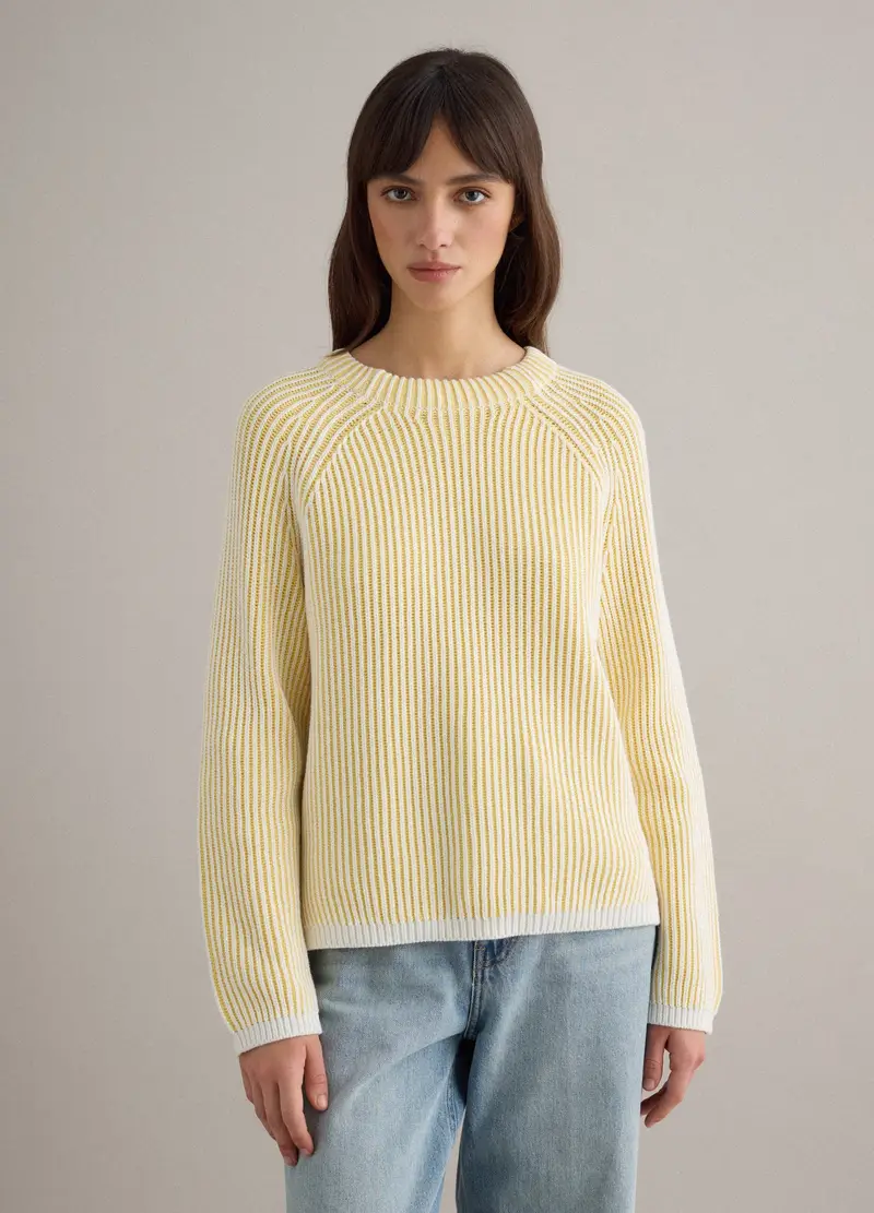 , Pullover In Puro Cotone A Righe Multicolor Regular Fit, Donna, Multicolor miniatura 3