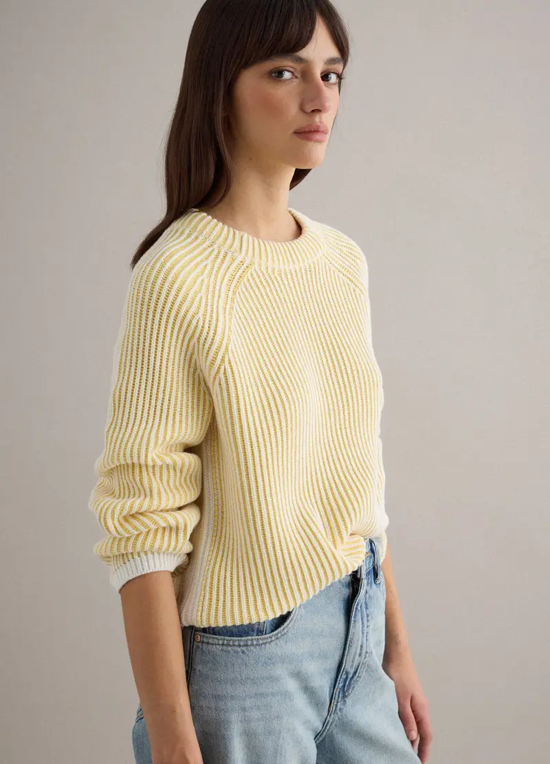 Pullover In Puro Cotone A Righe Multicolor Regular Fit, Donna, Multicolor