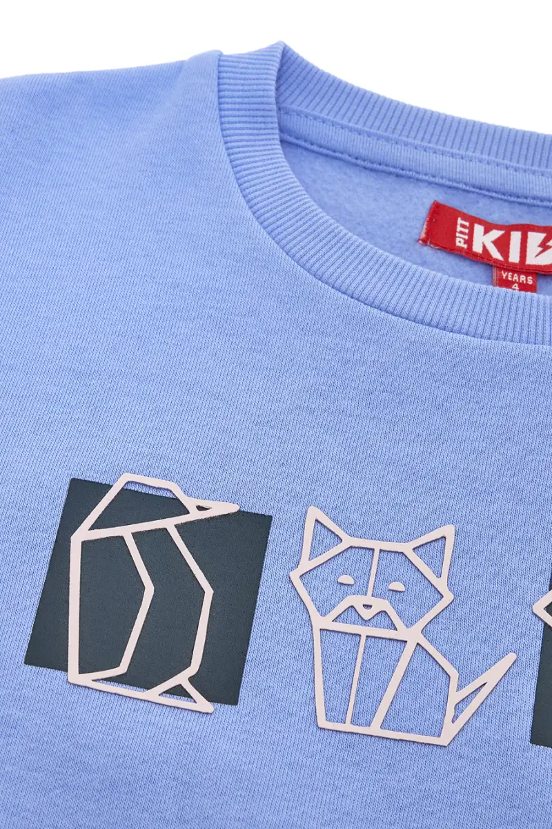 Felpa azzurra con stampa origami Pitt Kids PT-KF-8013 [CELESTE] miniatura 3