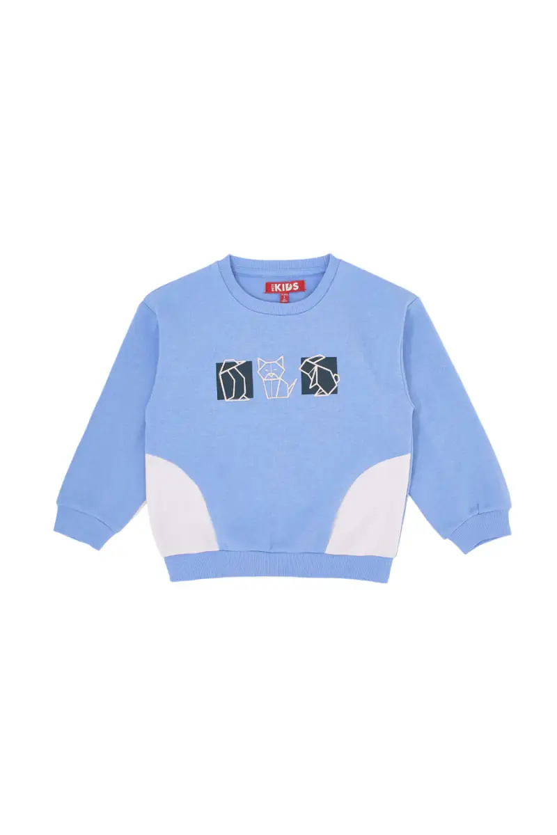 Felpa azzurra con stampa origami Pitt Kids PT-KF-8013 [CELESTE]