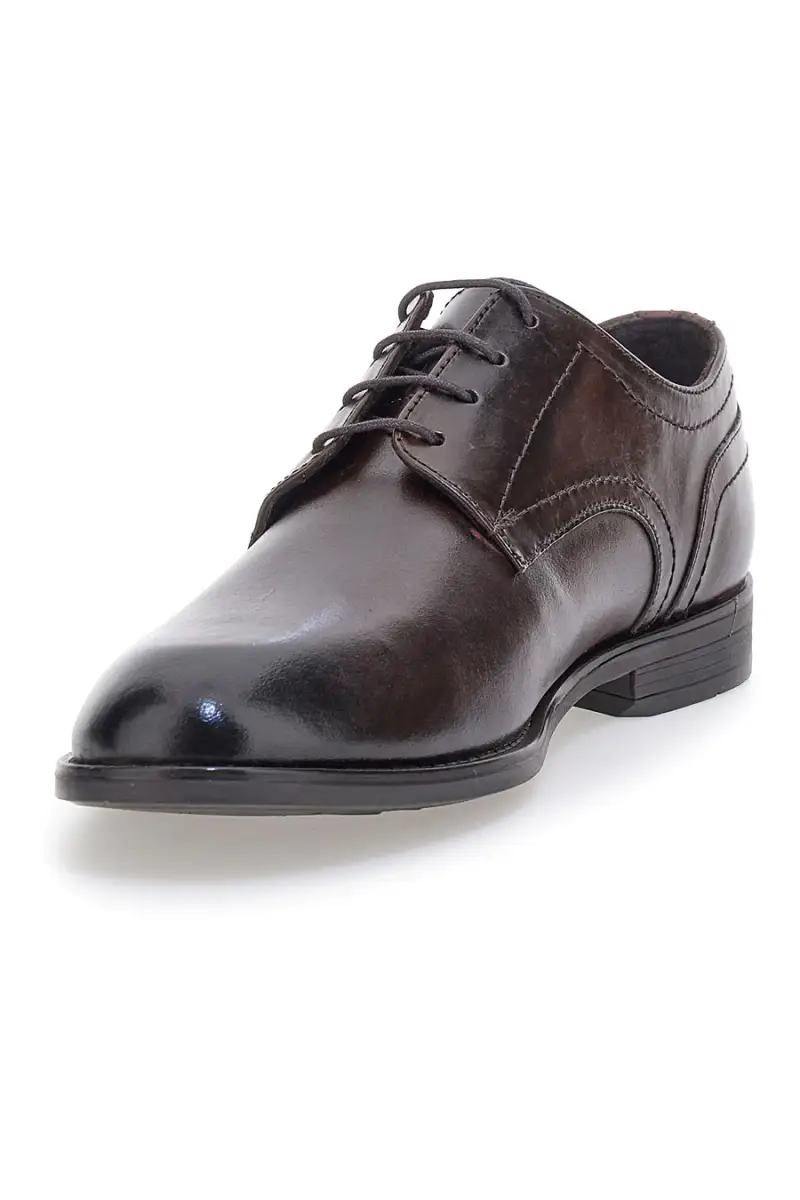 PITTARELLO CLASS Scarpe stringate Marrone 4195496 miniatura 3