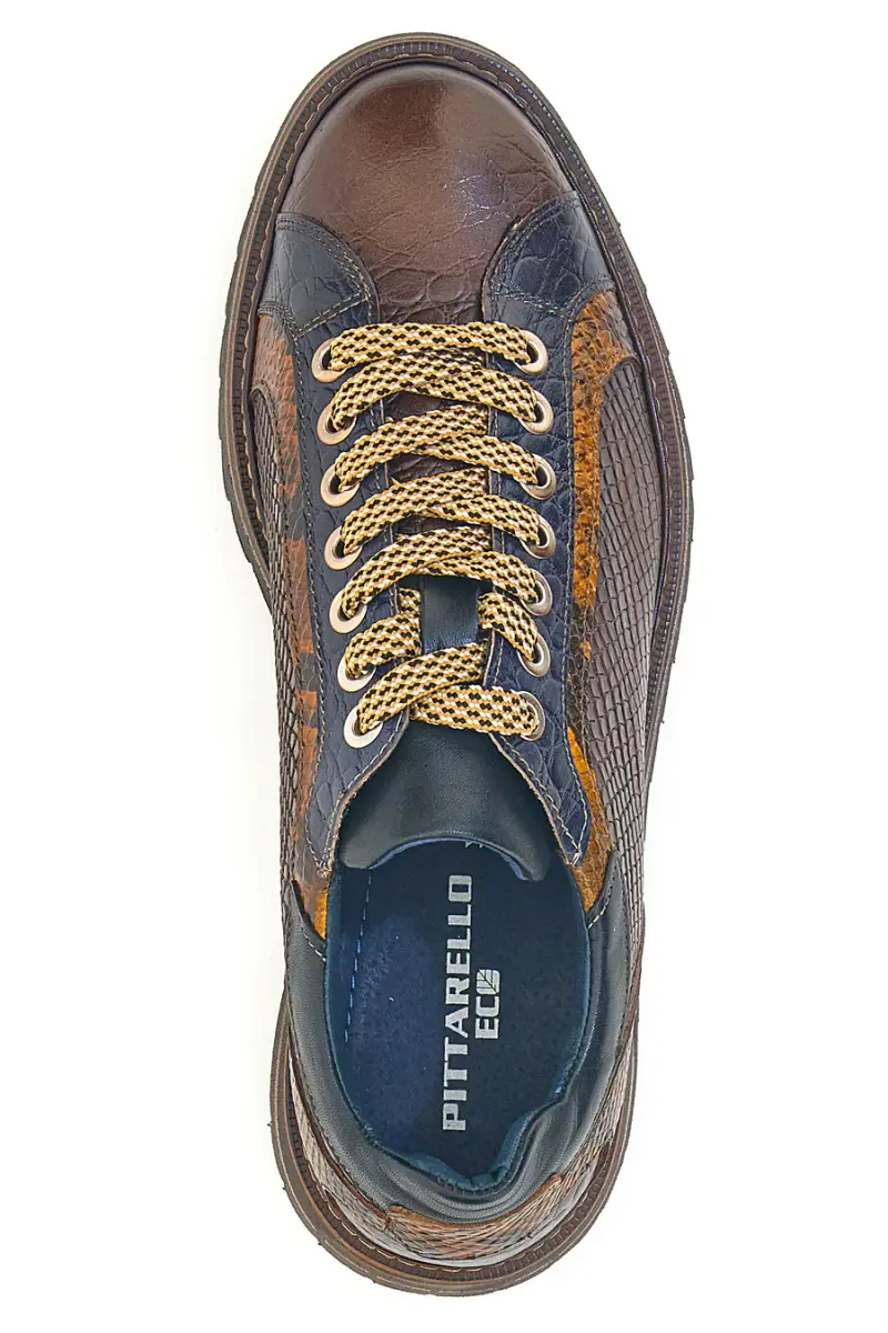 PITTARELLO ECO Scarpe stringate 4338201 miniatura 3