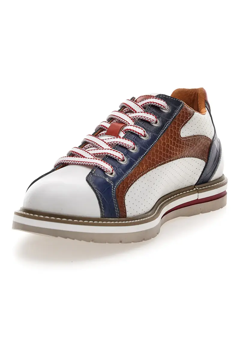 PITTARELLO ECO Scarpe stringate Multicolore 4338301 miniatura 3