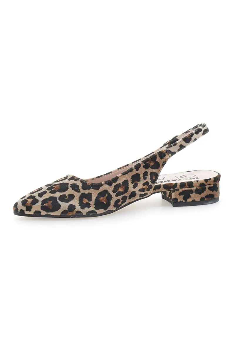 PITTARELLO GLAM Ballerine 3491991 miniatura 4