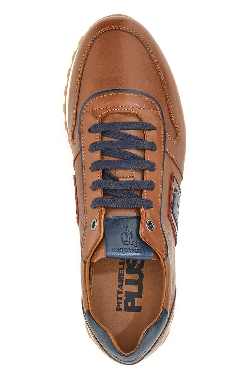 PITTARELLO PLUS Scarpe stringate 4190366 miniatura 5