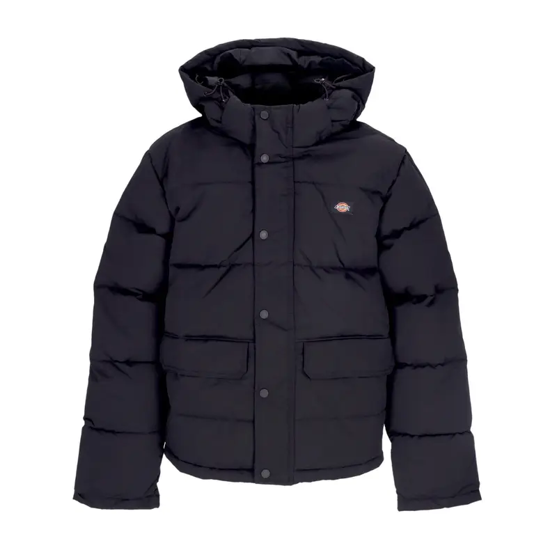 Piumino Uomo Glacier View Puffer Black