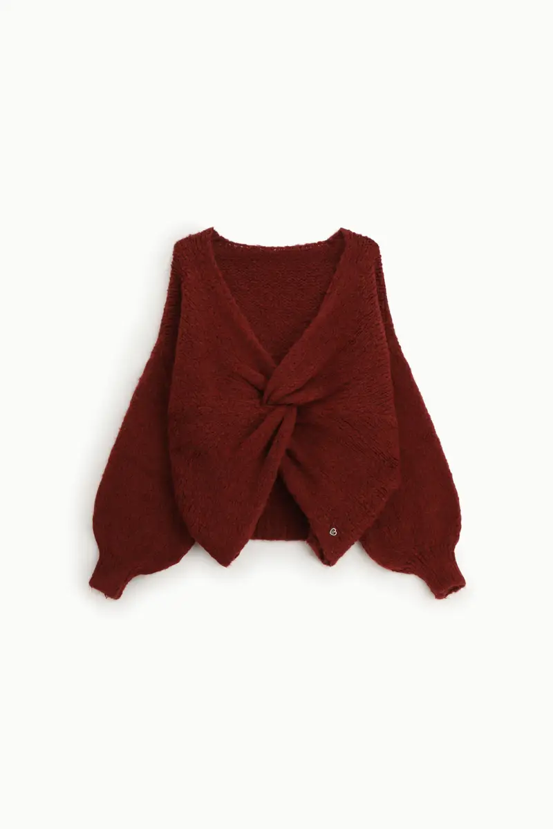 Please Cardigan Bordeaux 3883319