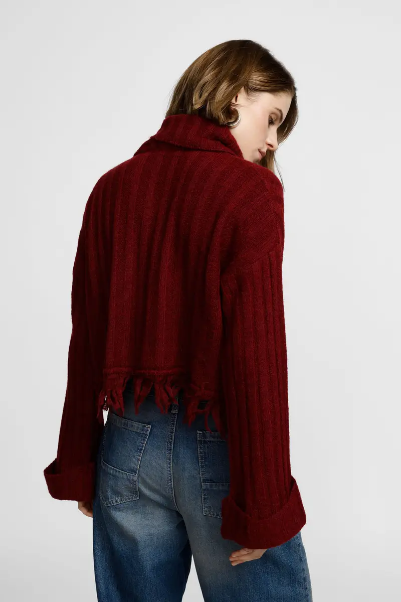 Maglione corto a collo alto con frange Bordeaux miniatura 3