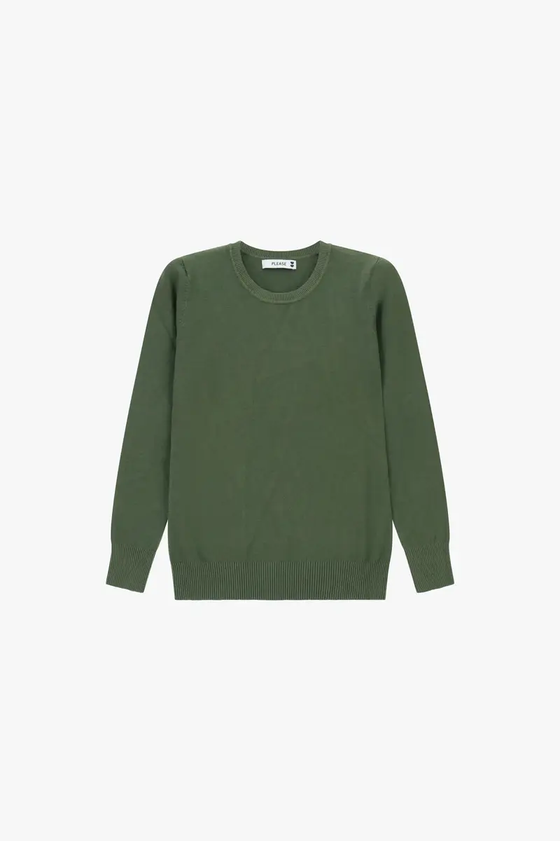 Maglione girocollo maniche lunghe basic fit Salvia