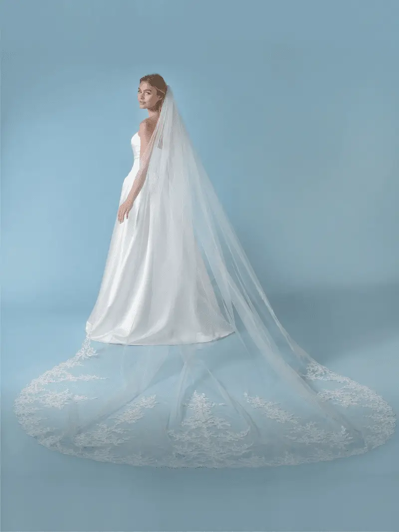 S435-350-MED Velo Paillettes Ricamato Fiori & Foglie Ivory