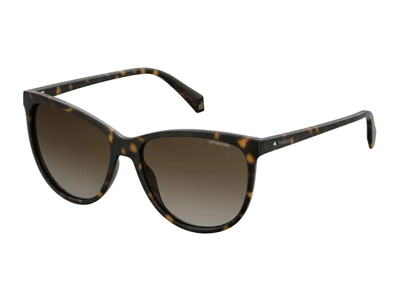 POLAROID Occhiali da sole Donna Testa di moro 844056