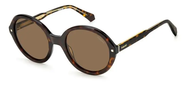 POLAROID Occhiali da sole Donna Testa di moro 859965