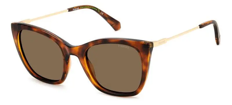POLAROID Occhiali da sole Donna Testa di moro 849288