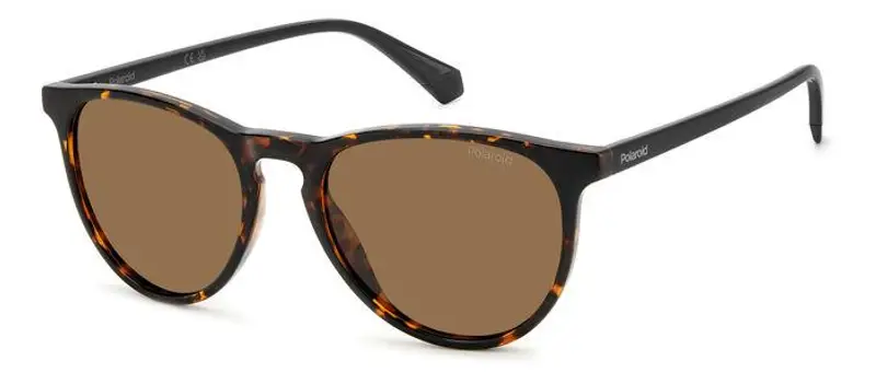 POLAROID Occhiali da sole Donna Testa di moro 850335