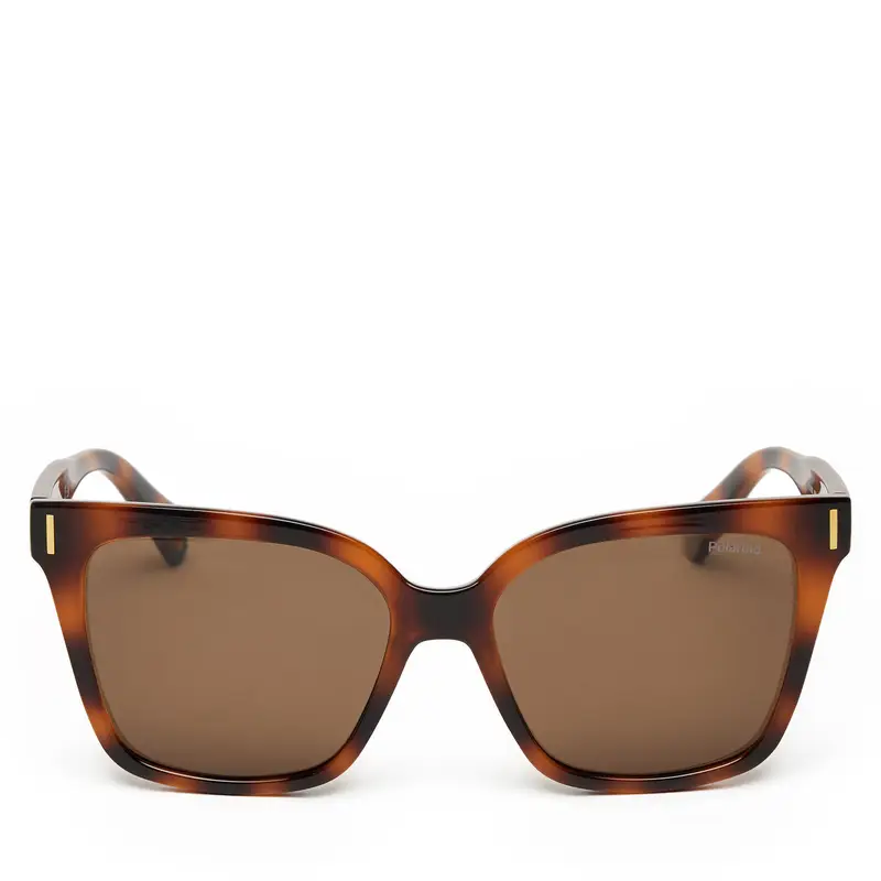 Occhiali da sole Polaroid PLD 6192/S Marrone