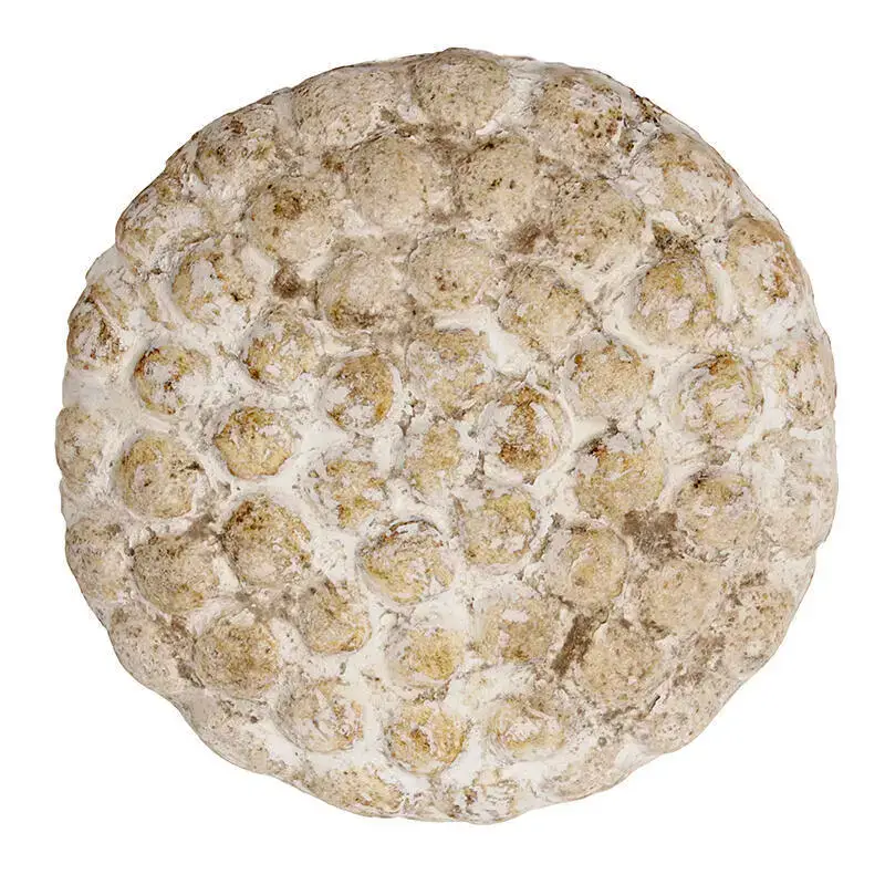 Decorazione murale Pole To Pole Dots