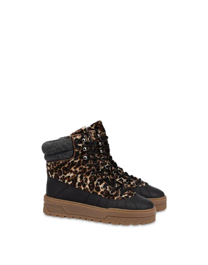 Pedula MD Ice Cracker in Cavallino LEOPARDO/NERO/LEGNO, Pollini Marrone miniatura 2