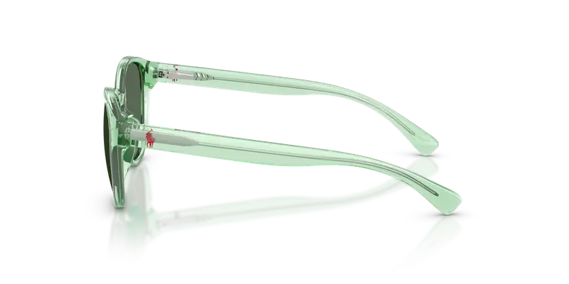 Polo Ralph Lauren Bambino PP9509U 625071 Occhiali da sole Iniettato Verde Verde Pantos Normale miniatura 3