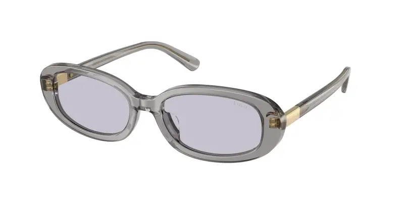 Donna Polo Ralph Lauren PH4198U 63181A Occhiali da sole Acetato Grigio Lilla Rotonda Normale