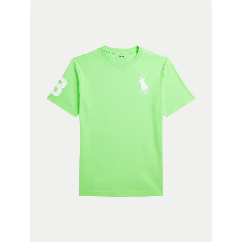 Polo Ralph Lauren T-shirt Verde 3215513