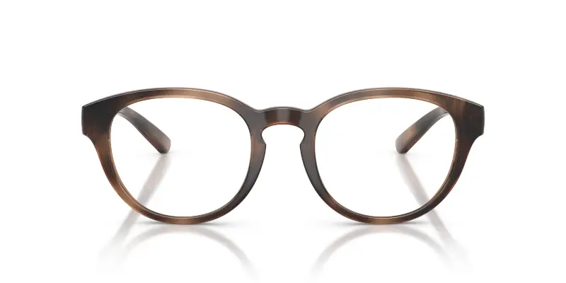 Uomo PH2293U 6070 Montature da vista Iniettato Tartaruga Trasparente Pantos Normale miniatura 3