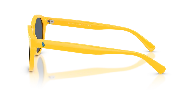 Polo Ralph Lauren Polo Uomo Grigio 847469 miniatura 3