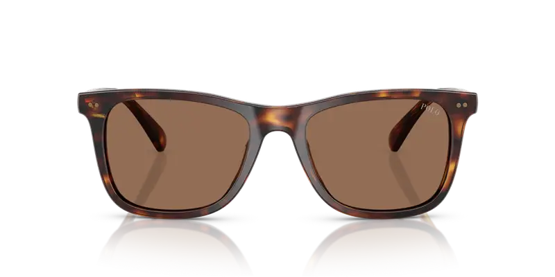 Polo Ralph Lauren Occhiali da sole Uomo Testa di moro 836886 miniatura 2