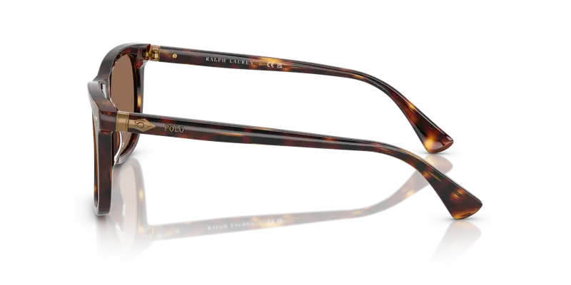 Polo Ralph Lauren Occhiali da sole Uomo Testa di moro 836886 miniatura 3