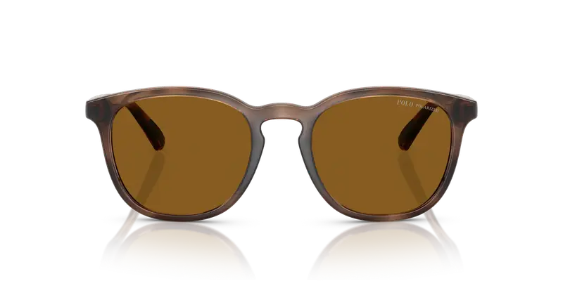 Polo Ralph Lauren Occhiali da sole Uomo Testa di moro 837146 miniatura 2