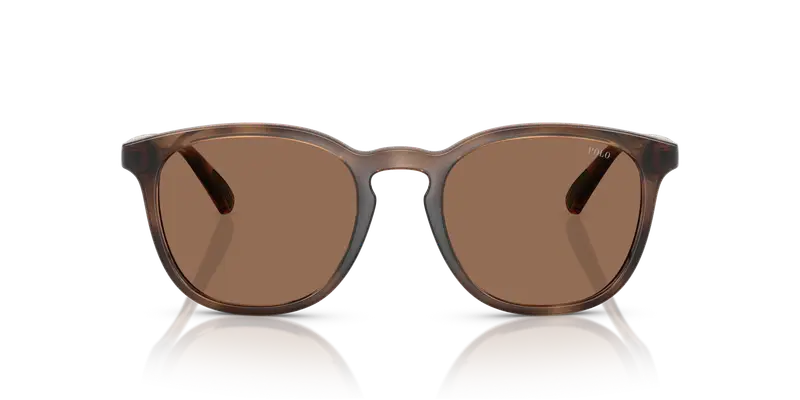 Polo Ralph Lauren Occhiali da sole Uomo Testa di moro 837148 miniatura 2