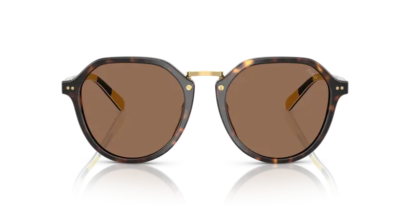 Polo Ralph Lauren Polo Uomo Testa di moro 837040 miniatura 2