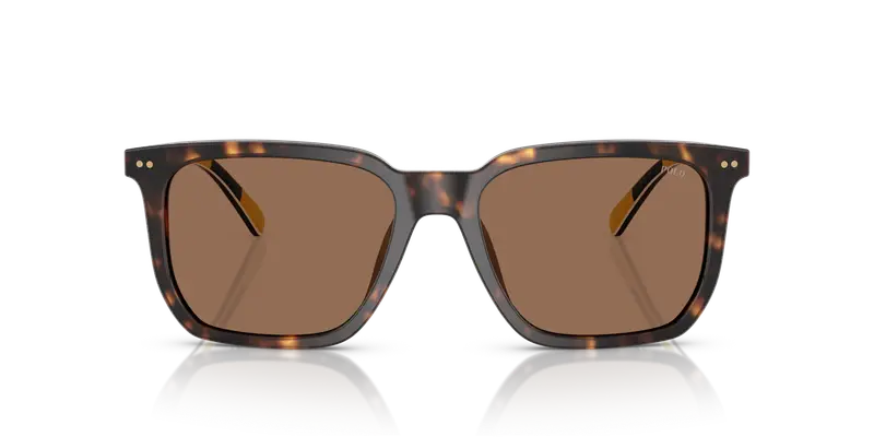 Polo Ralph Lauren Occhiali da sole Uomo Testa di moro 837044 miniatura 2