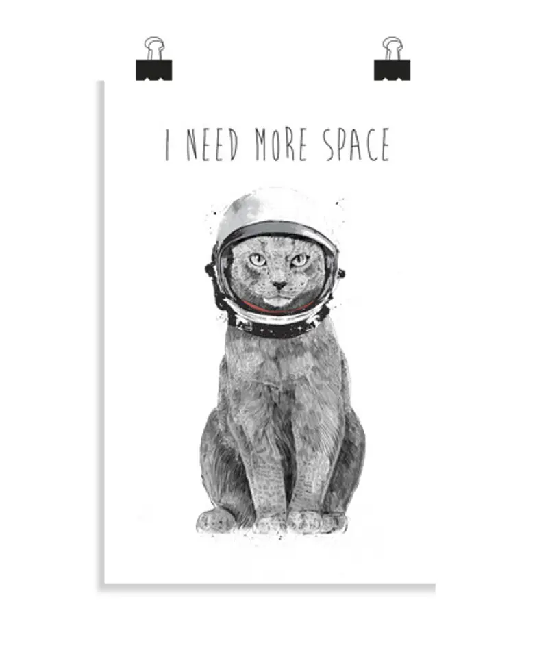 Poster verticale 2:3 - (20 x 30 cm) ho bisogno di più spazio