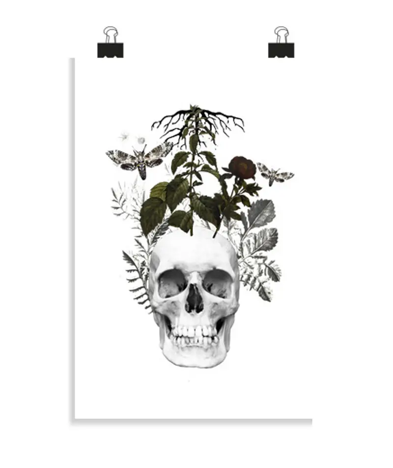 Poster verticale 2:3 - (20 x 30 cm) teschio con fiori e pianta
