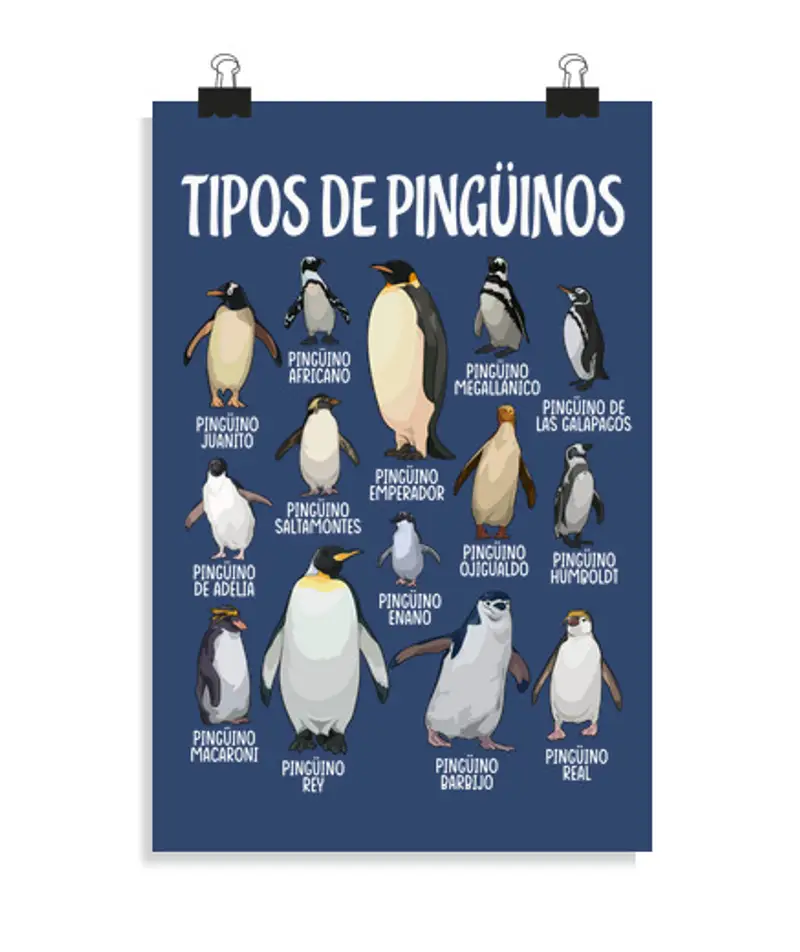 Poster verticale 2: 3 - (20 x 30 cm) tipi di pinguini animali amanti dei pinguini