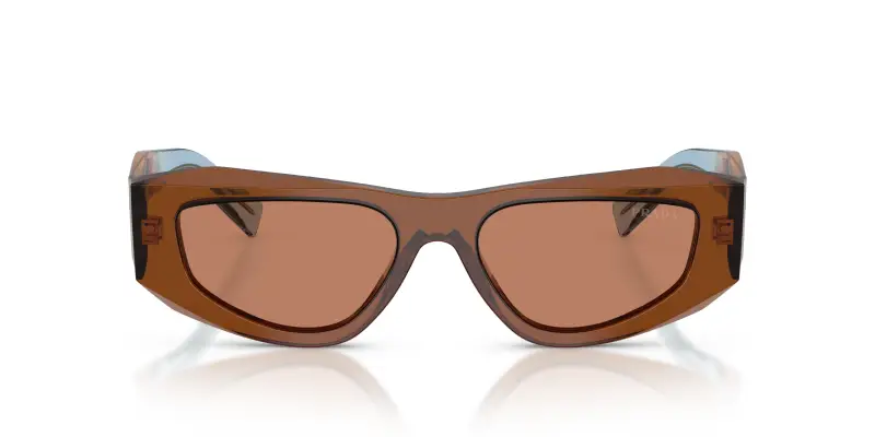 Prada Occhiali da sole Uomo Marrone 3182760 miniatura 3